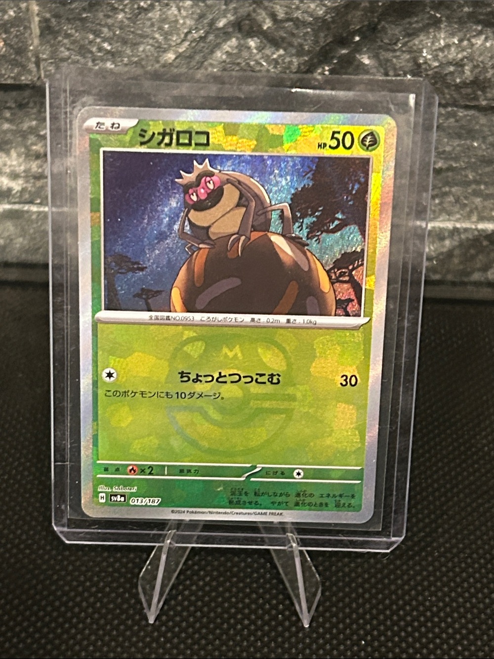 Pokemon Rellor 013/187 Masterball Holo from Terastal Festival (Japanese) M/NM